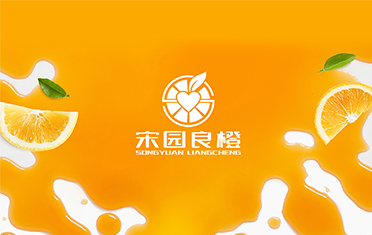 某良橙——南阳LOGO设计
