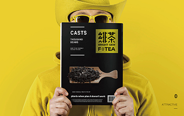 南阳绯茶品牌设计